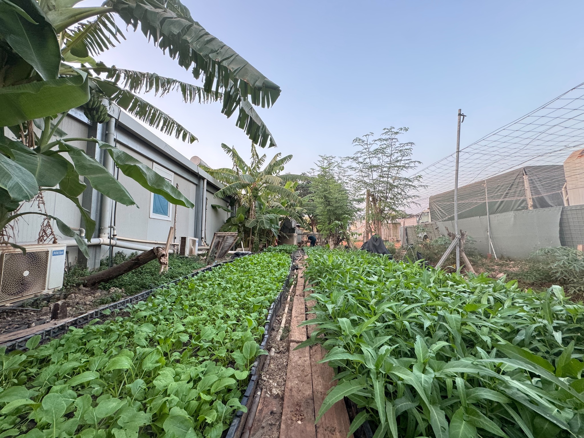 /UploadStore/admin/260110 ca phau thuat 10/613105991_1292896366199625_6713440962656226258_n.jpg